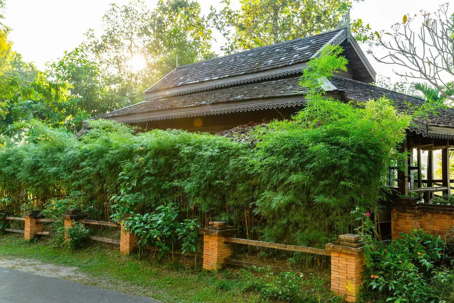 Jirung Wellness by Baan Lalisa