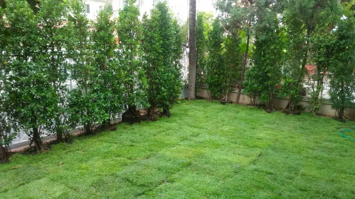 SmileCare Nursing Home