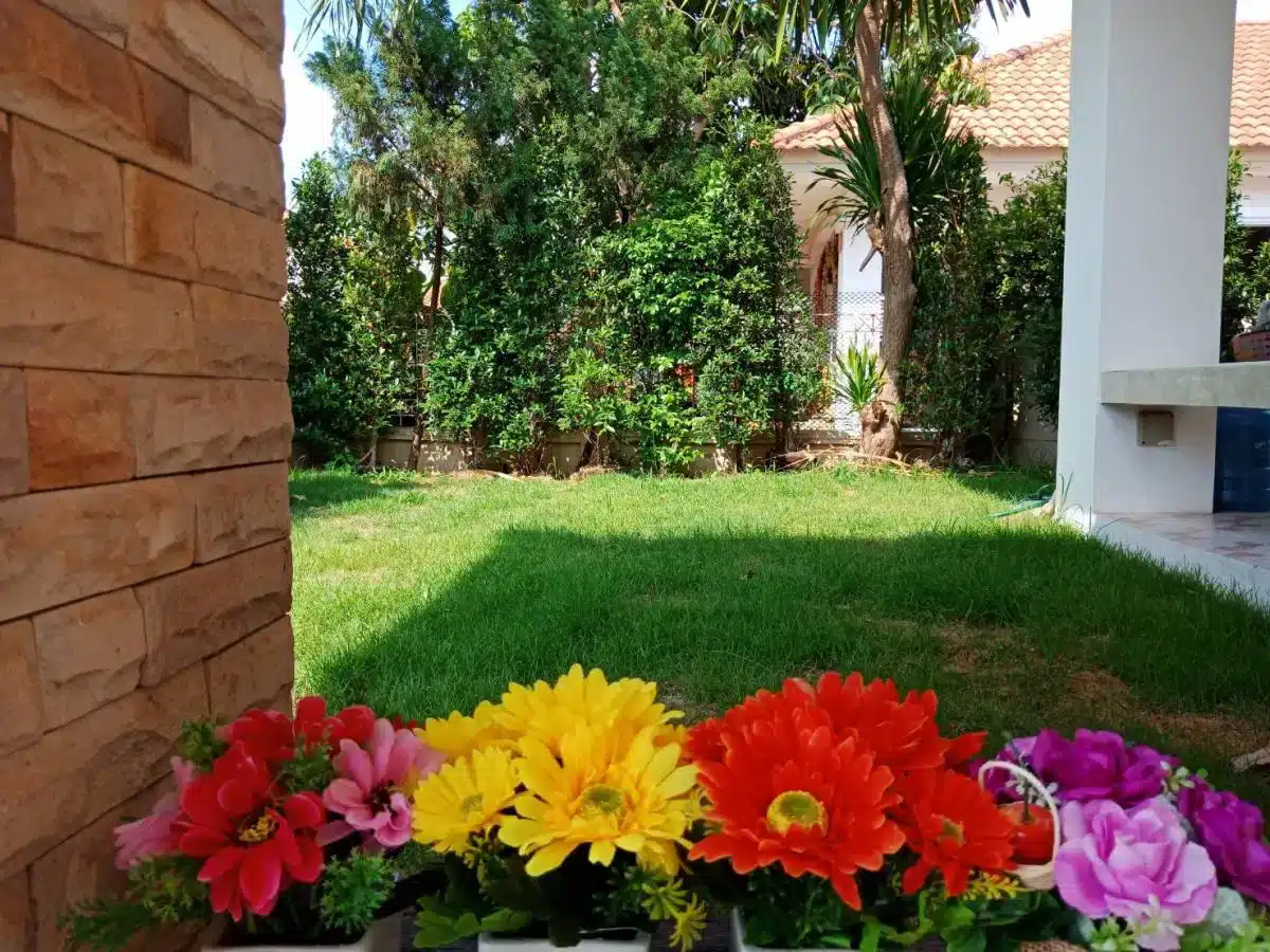 SmileCare Nursing Home