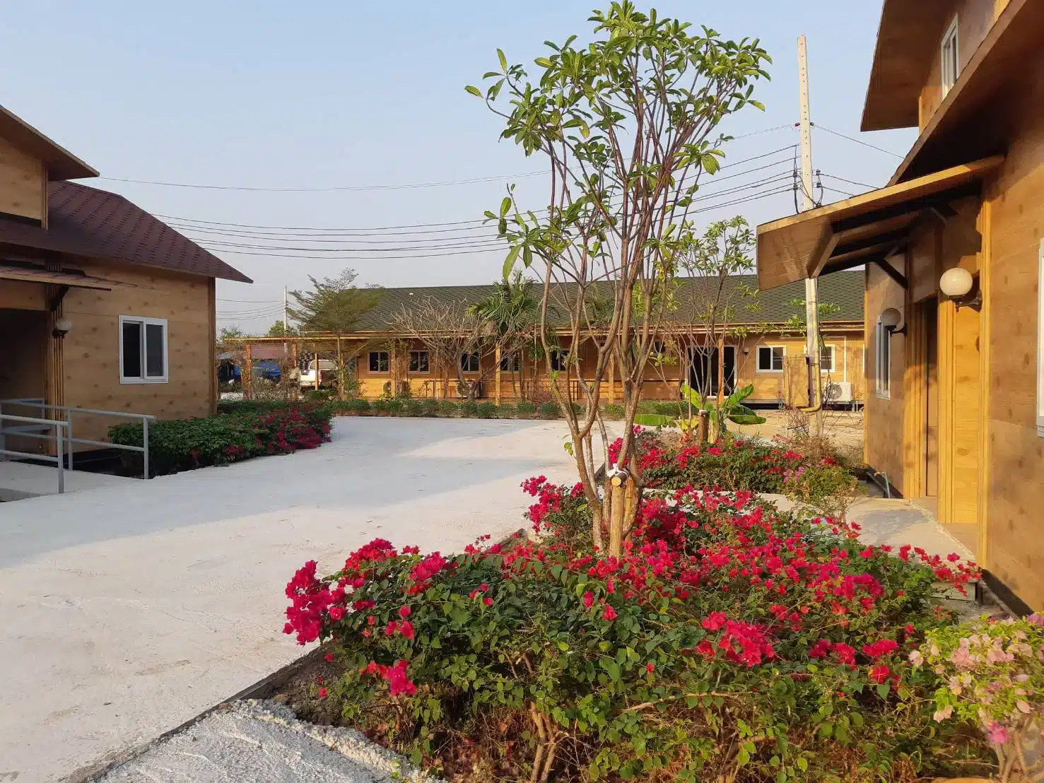 The Rich Nursing Resort